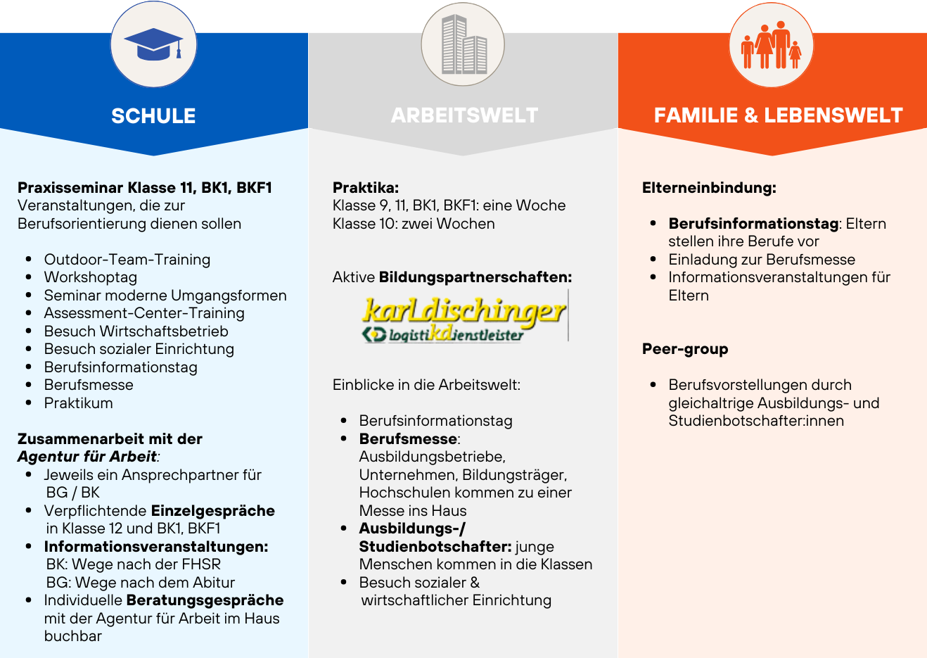 Boris Handlungsfelder1