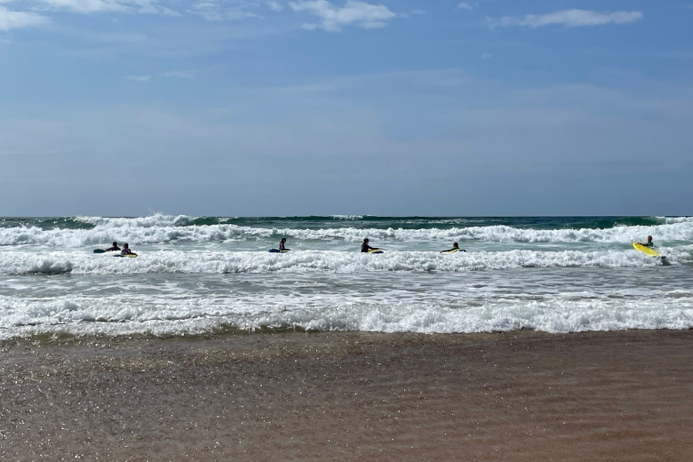 Surf1