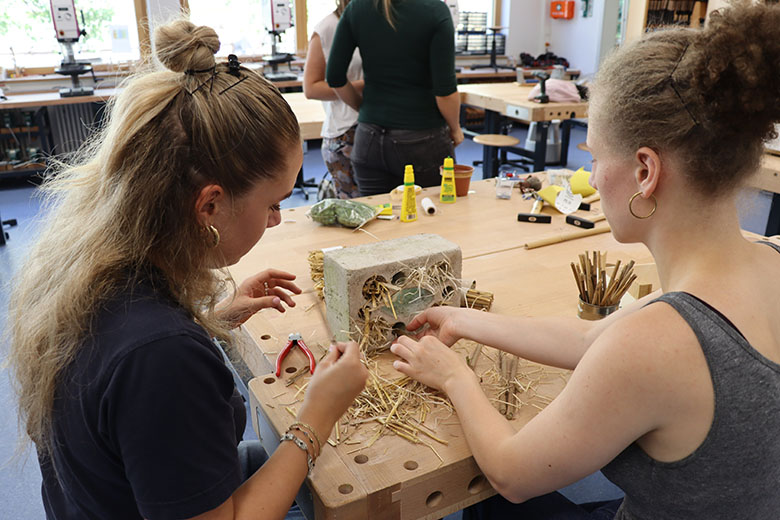 Schülerinen bauen ein Insektenhotel